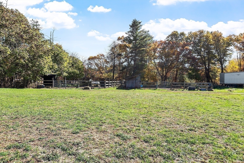 84 Powers Road Westford, MA 01886 - Photo 29 of 42 a view of green field