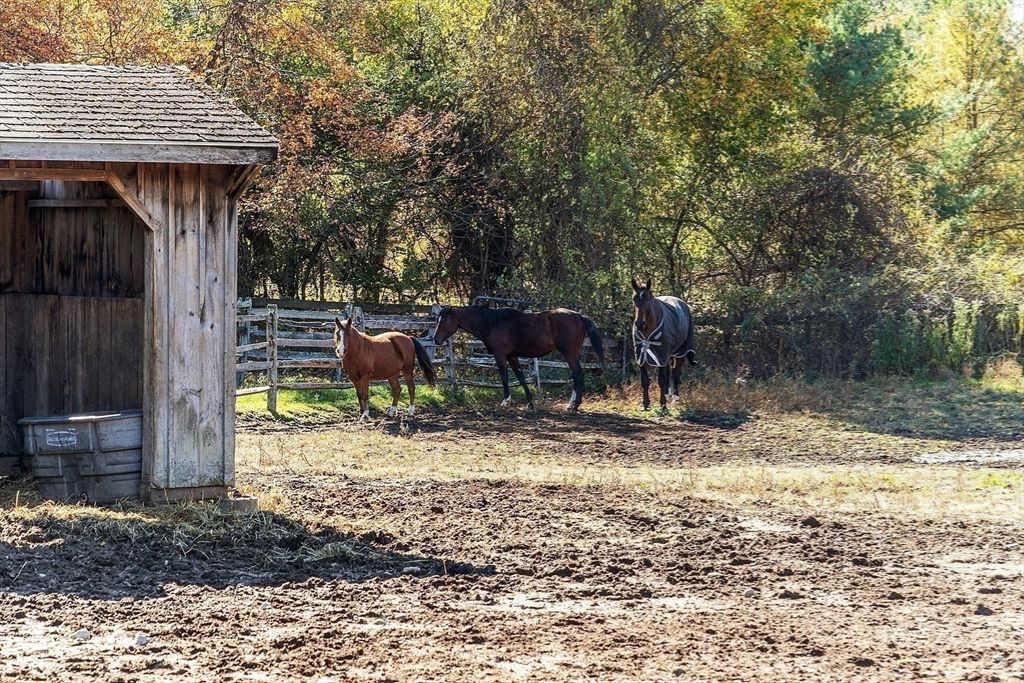 84 Powers Road Westford, MA 01886 - Photo 31 of 42 a view of a wooden house with a yard and large tree