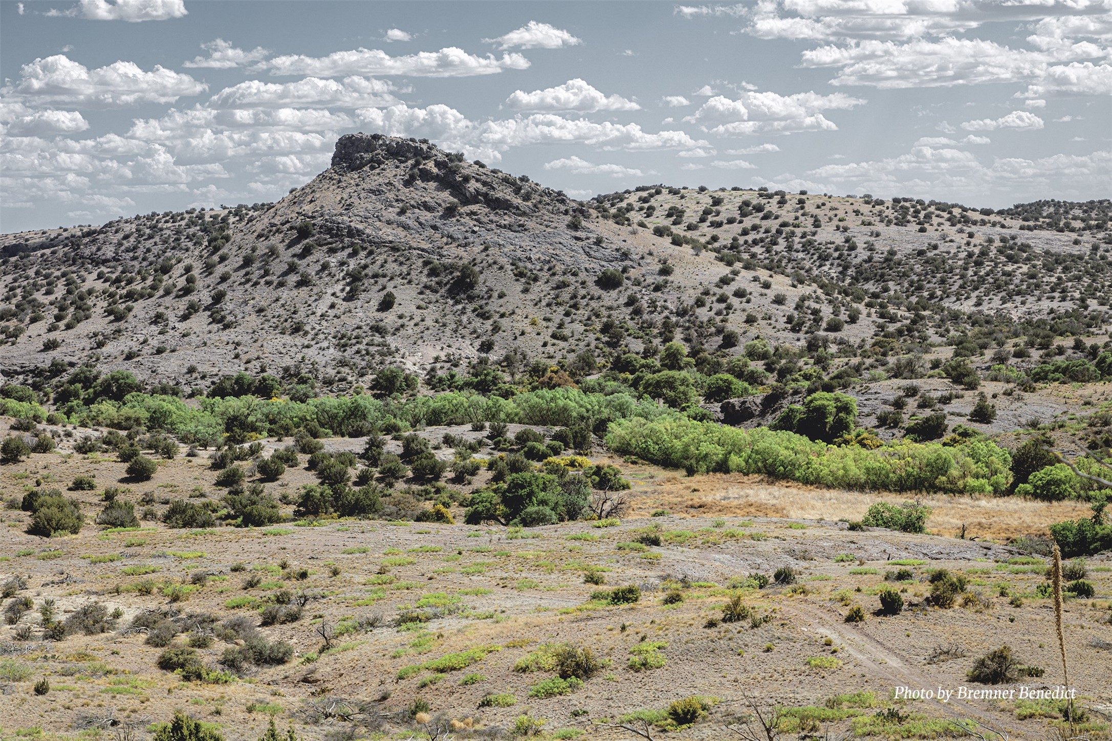 Pitchfork Pitchfork Ranch Silver City, NM 88061 - Photo 54 of 56
