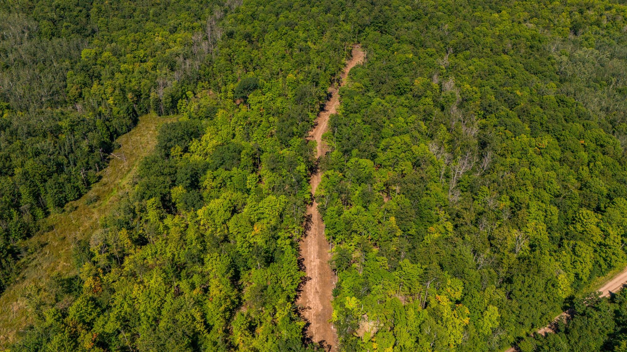 40-acres Ison Road Crandon, WI 54520 - Photo 15 of 31 Gallery Image 15