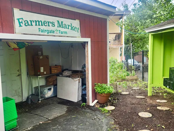 a room with a chair and potted plant