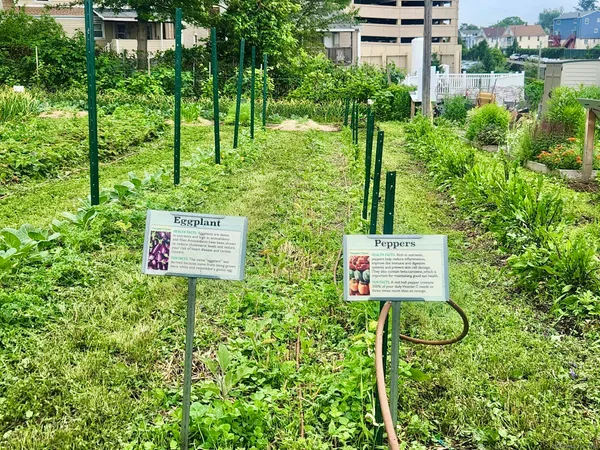 a sign that is sitting in front of a tree