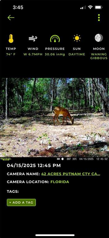 Bellamy Road Melrose, FL 32666 - Photo 10 of 15