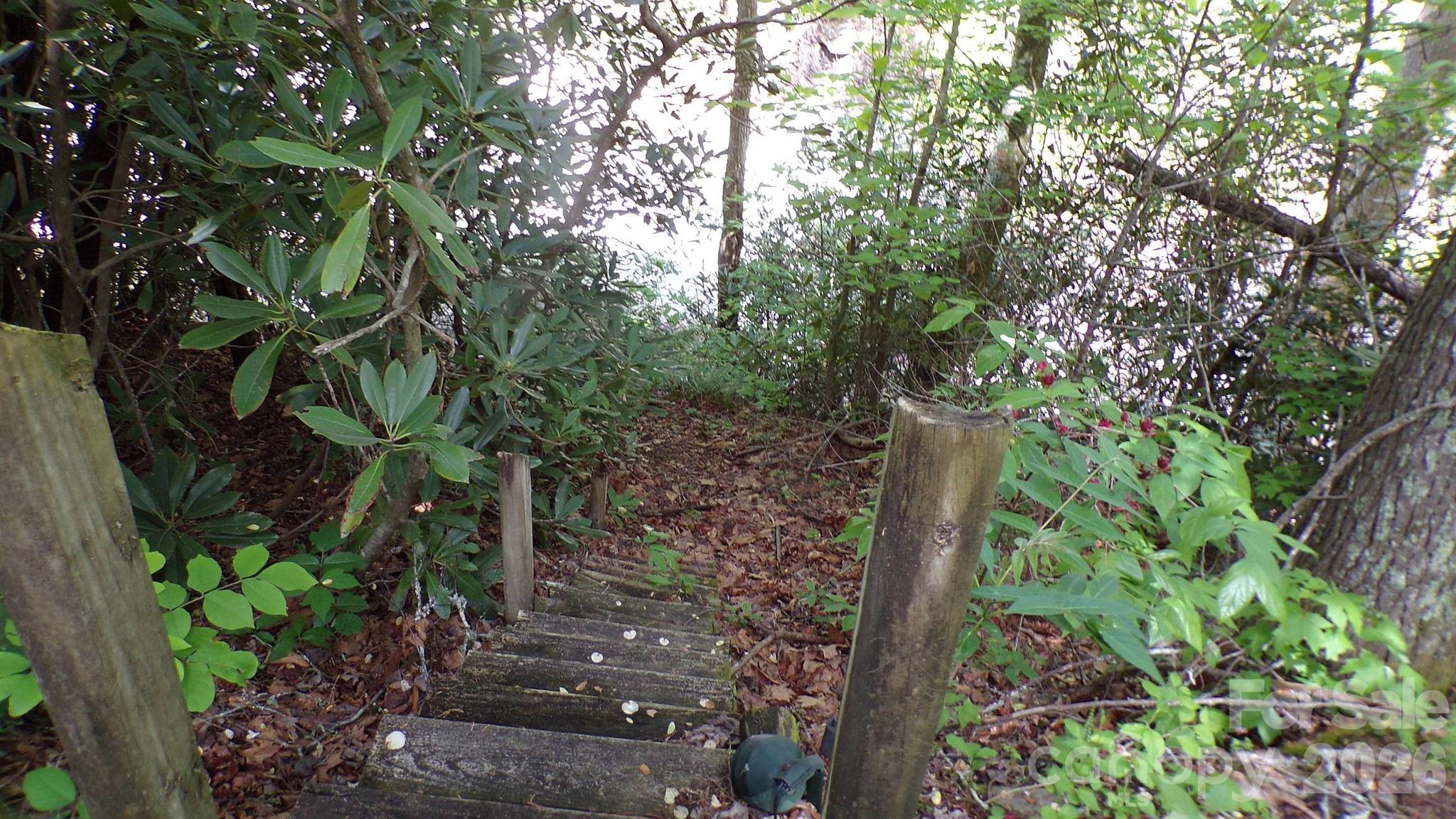 216 Paradise Road Hendersonville, NC 28792 - Photo 19 of 33 a backyard of a house with lots of green space