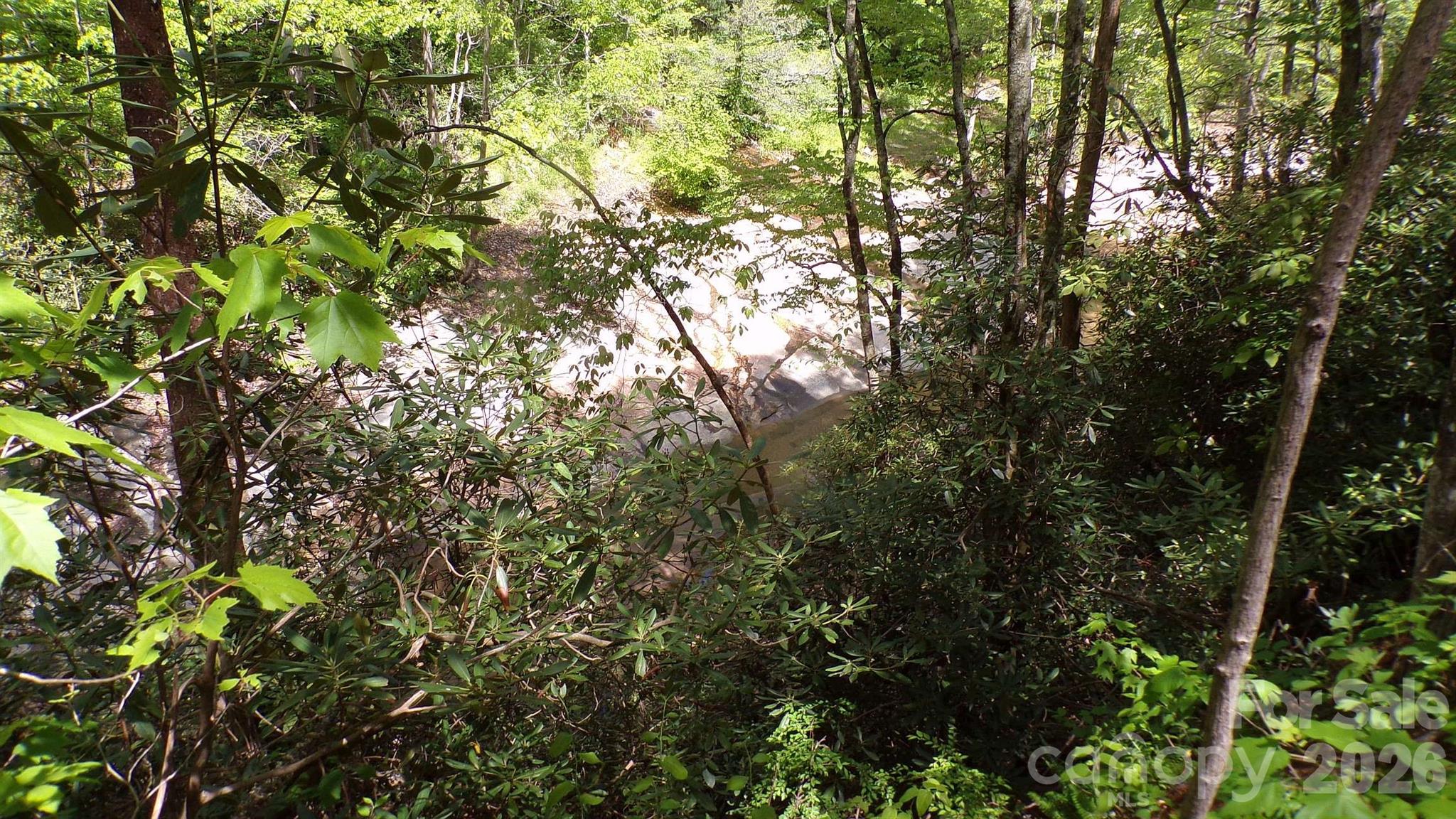216 Paradise Road Hendersonville, NC 28792 - Photo 20 of 33 a view of tree