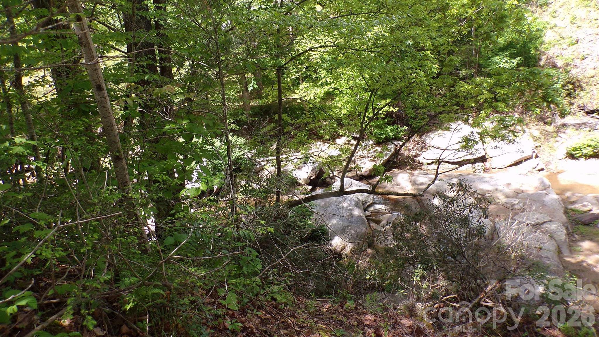216 Paradise Road Hendersonville, NC 28792 - Photo 22 of 33 a view of tree