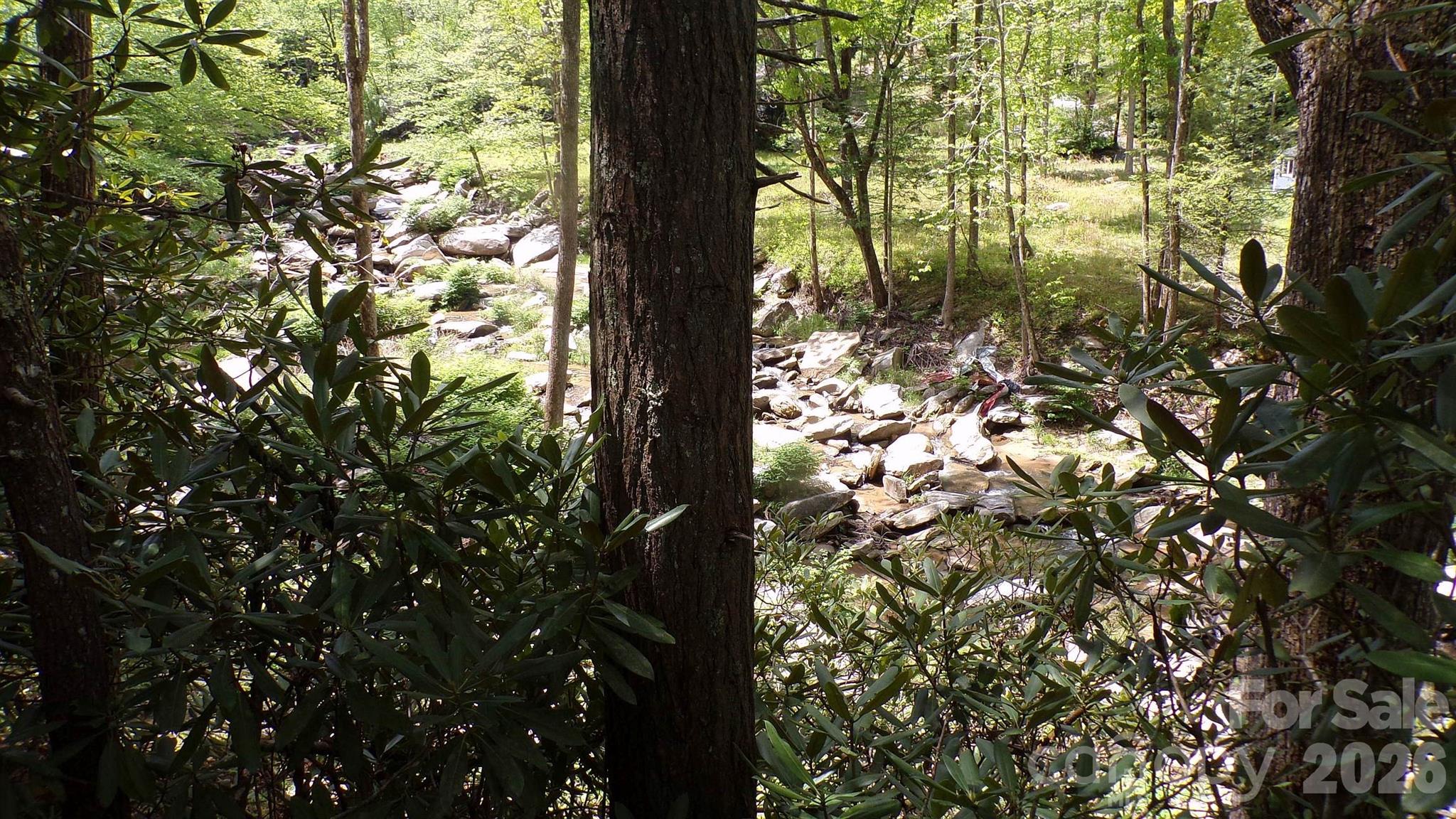 216 Paradise Road Hendersonville, NC 28792 - Photo 26 of 33 a view of tree