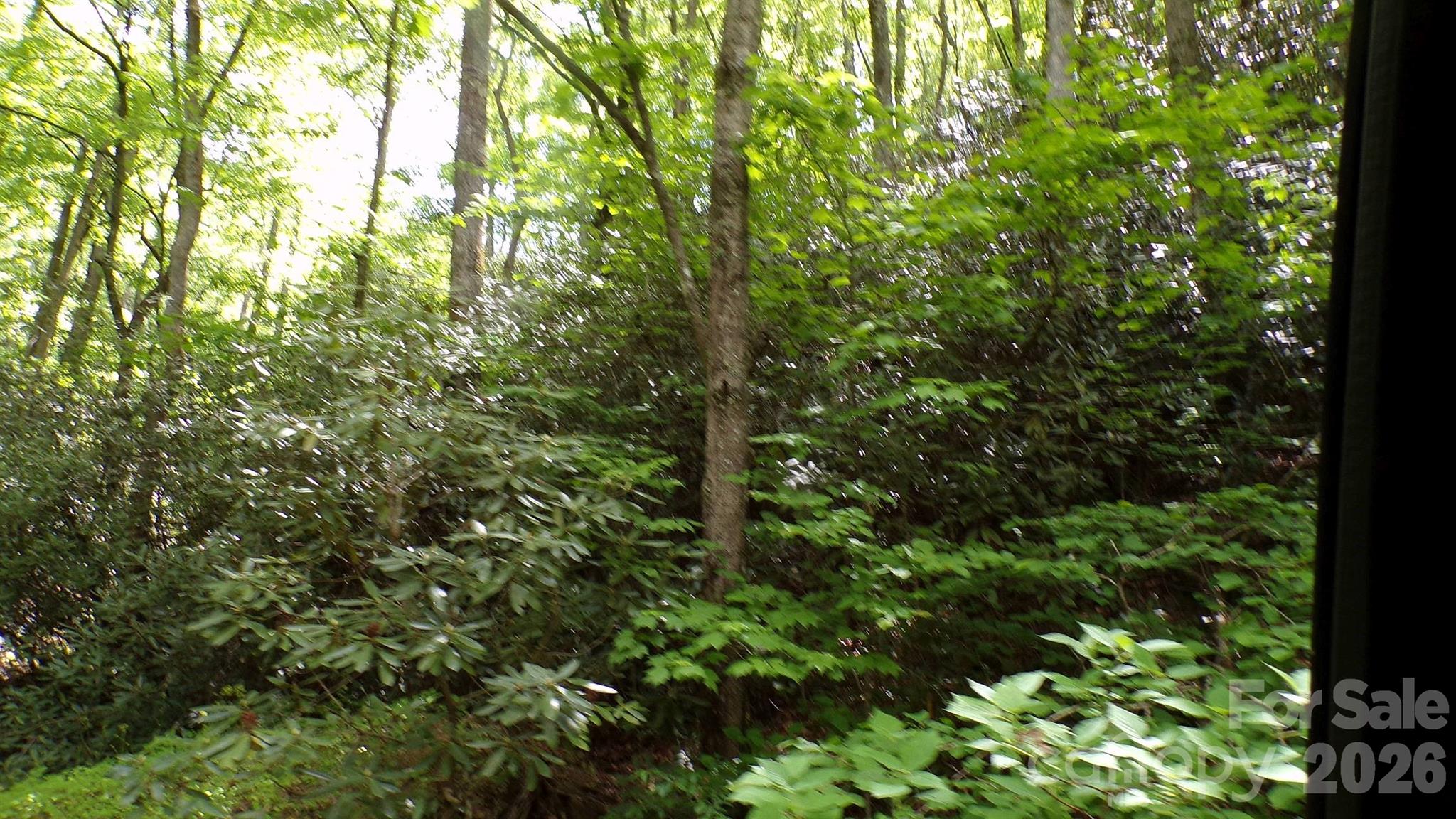 216 Paradise Road Hendersonville, NC 28792 - Photo 30 of 33 a view of a forest