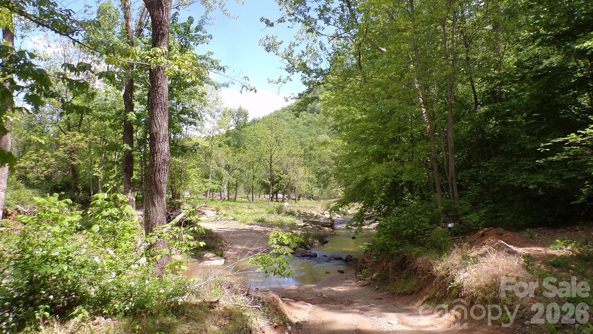 216 Paradise Road Hendersonville, NC 28792 - Photo 31 of 33 a view of a yard with plants and large trees