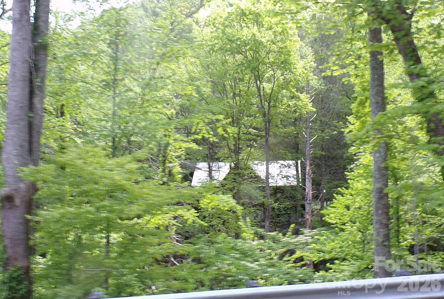 216 Paradise Road Hendersonville, NC 28792 - Photo 33 of 33 a view of a garden