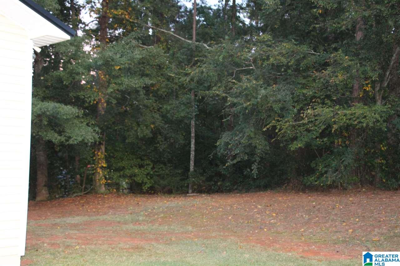 96 Alice Street Alexandria, AL 36250 - Photo 24 of 25