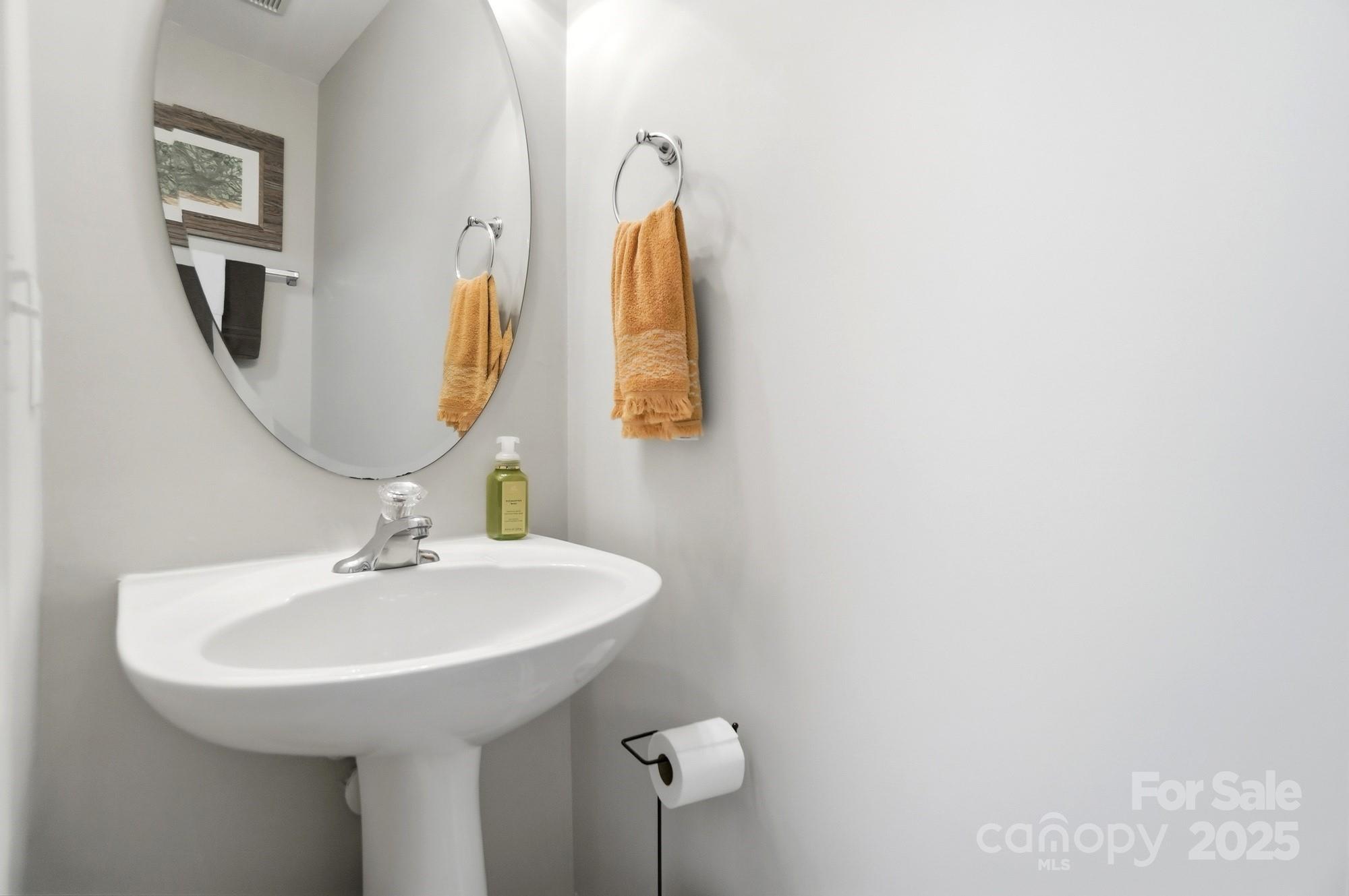 837 Dillard Road Rock Hill, SC 29730 - Photo 21 of 48 a bathroom with a sink and mirror