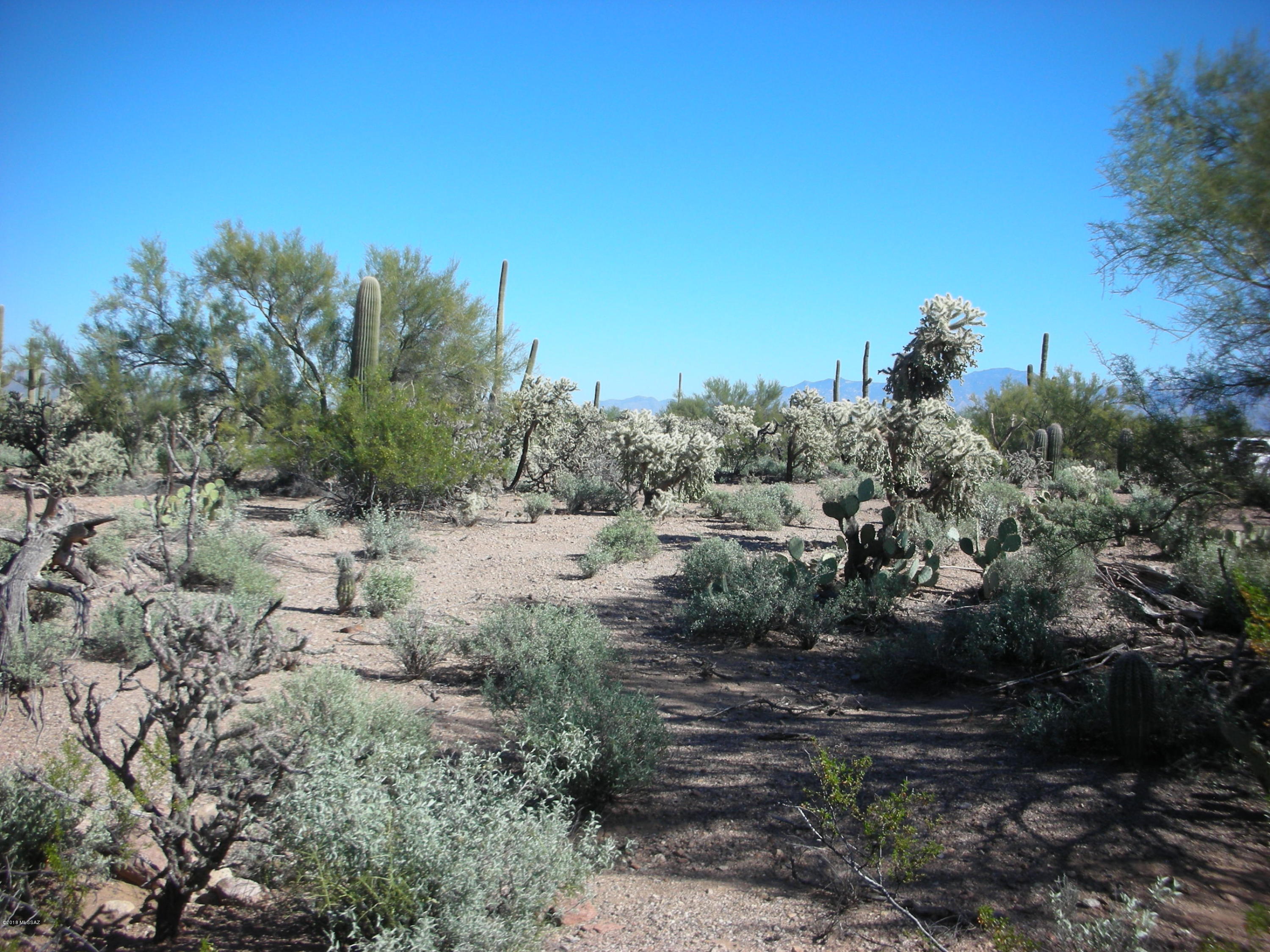 7490 West Ina Road Tucson, AZ 85743 - Photo 14 of 18 Gallery Image 14