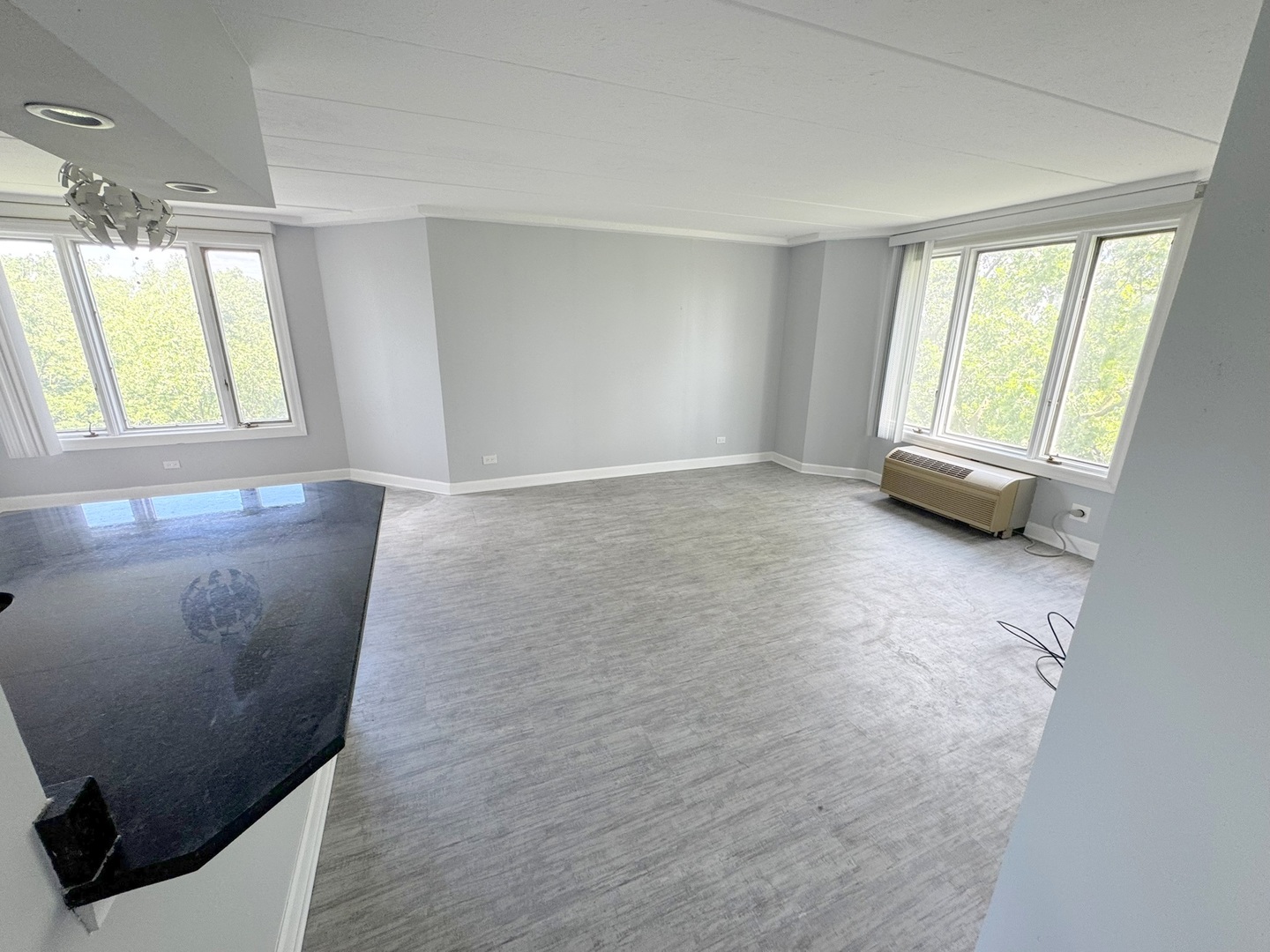 1 Renaissance Place, Unit 617 Palatine, IL 60067 - Photo 6 of 28