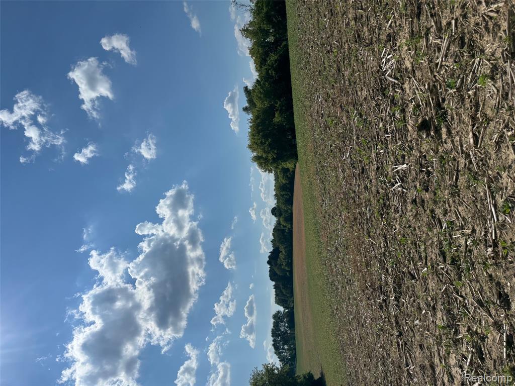 Vl South Mill Road Dryden, MI 48428 - Photo 6 of 13