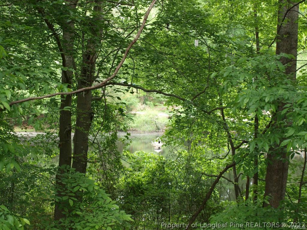 1100 Shadyside Drive Raleigh, NC 27612 - Photo 4 of 20 Gallery Image 4