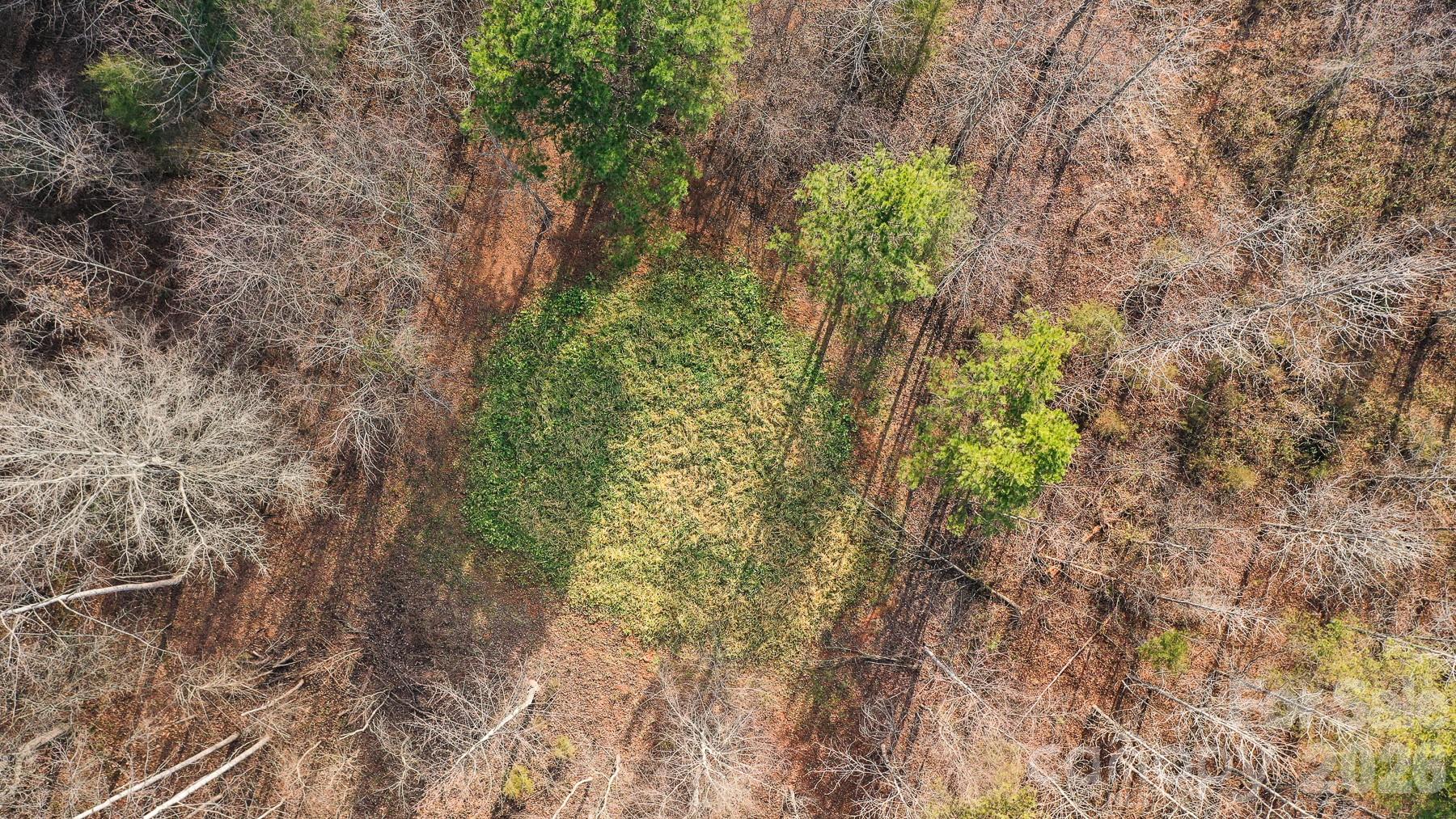 Tbd Upright Road Mount Ulla, NC 28125 - Photo 24 of 35