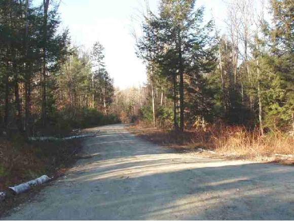 Lot 1 Cole Pond Road Jamaica, VT 05343 - Photo 1 of 1 Gallery Image 1