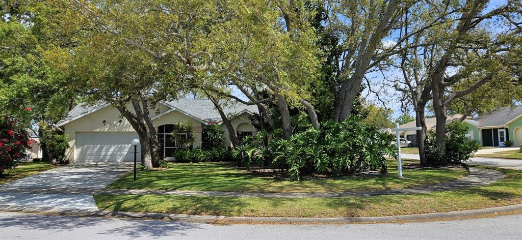 10728 Fallen Leaf Lane Port Richey, FL 34668 - Photo 1 of 1 a front view of a house with garden