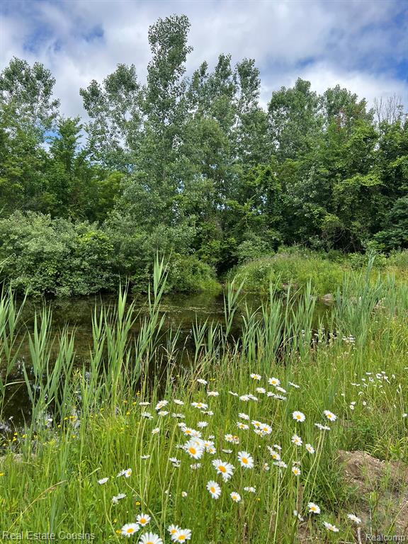 5440 Lobdell Road Fenton, MI 48430 - Photo 4 of 20