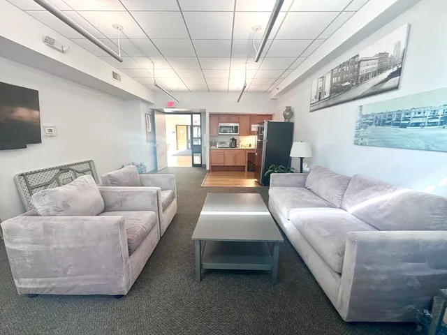 a living room with furniture and a potted plant