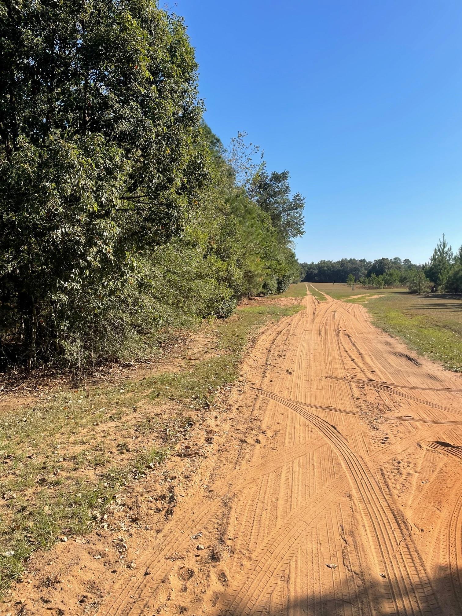 0 Glass And Spivey Road Robertsdale, AL 36567 - Photo 6 of 10