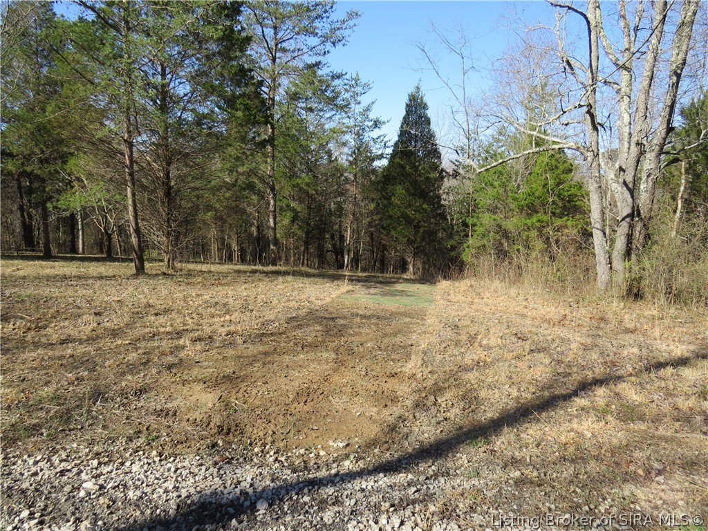 5030 Edwardsville Galena Road Floyds Knobs, IN 47119 - Photo 4 of 7
