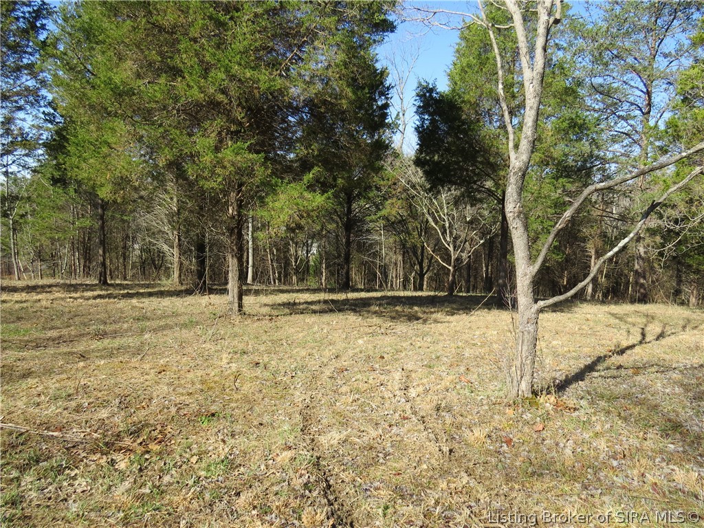5030 Edwardsville Galena Road Floyds Knobs, IN 47119 - Photo 5 of 7