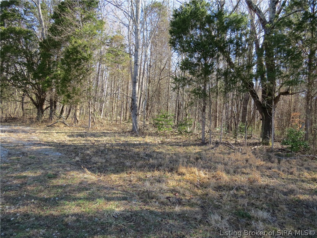 5030 Edwardsville Galena Road Floyds Knobs, IN 47119 - Photo 6 of 7