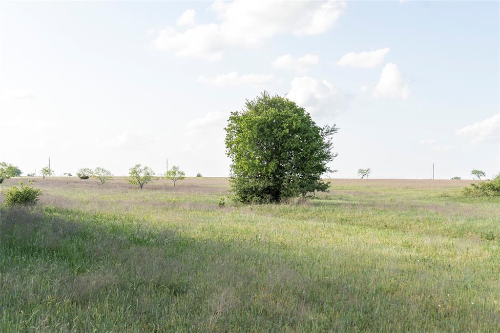 Tbd Rattler Hill Road McGregor, TX 76657 - Photo 5 of 18 Gallery Image 5