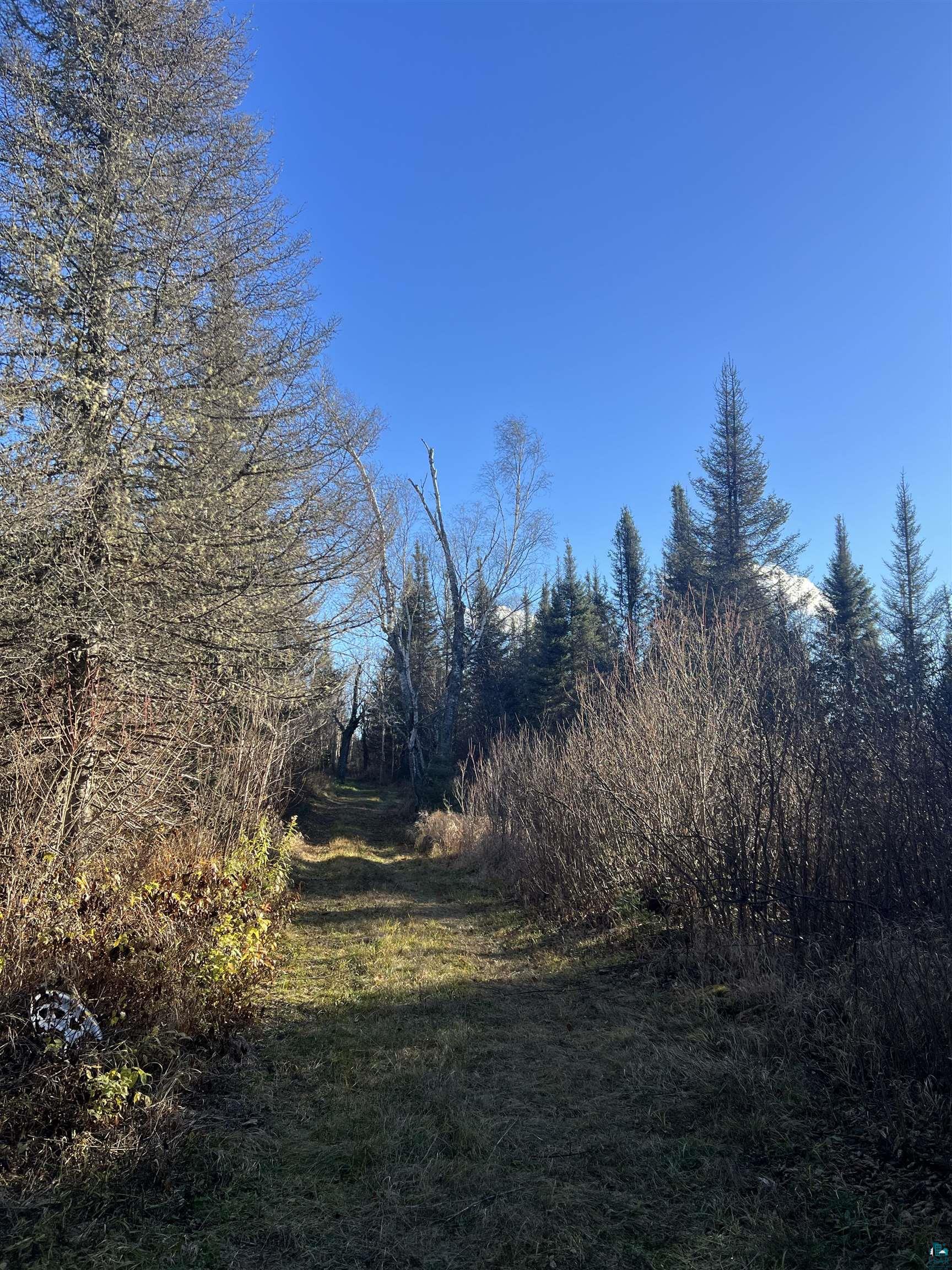 Tbd Heffelfinger Road Silver Bay, MN 55614 - Photo 25 of 31
