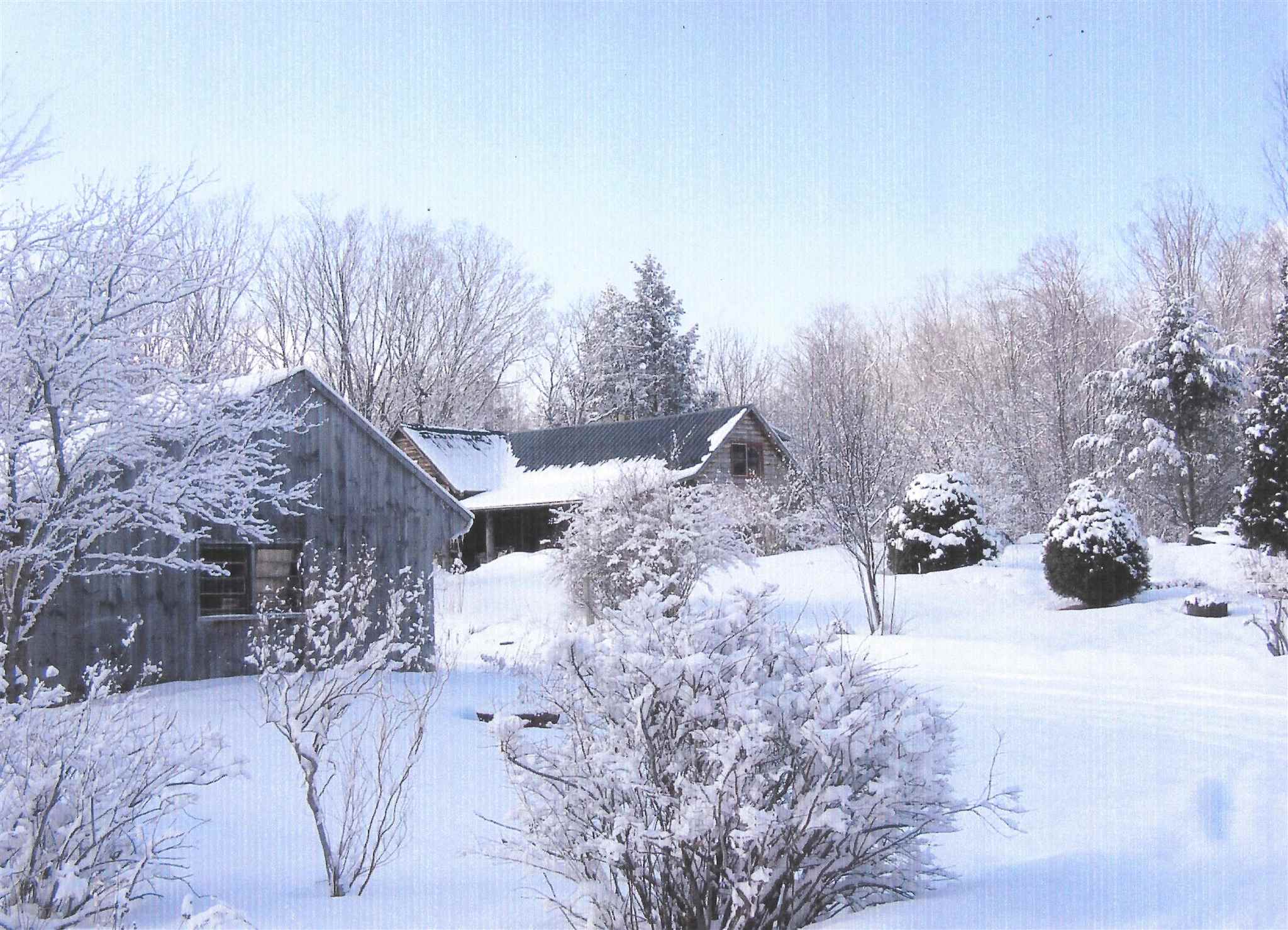 2455 Windham Hill Road Townshend, VT 05359 - Photo 15 of 15