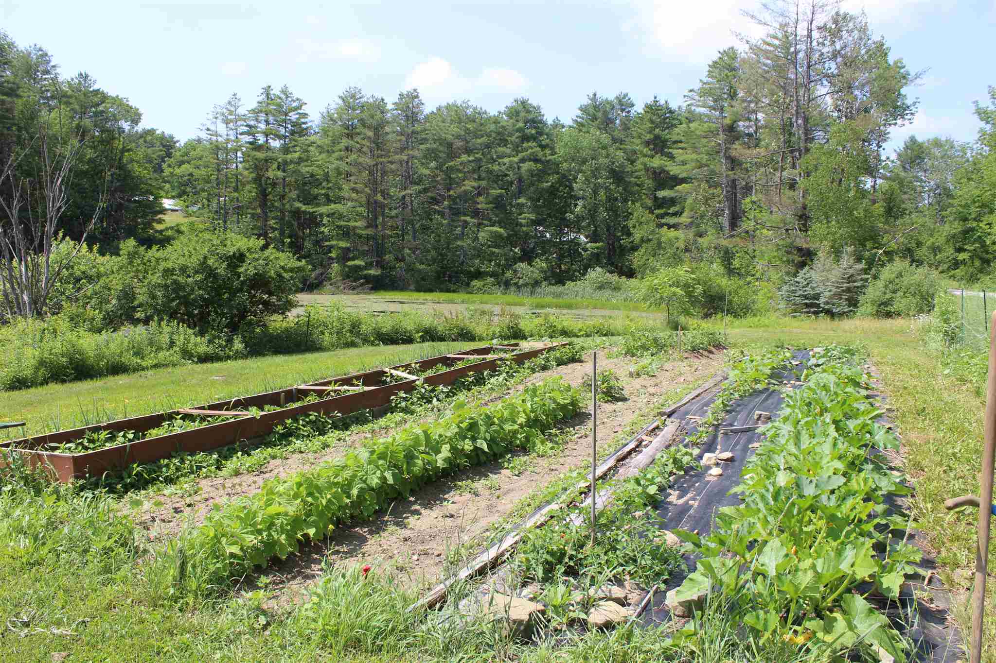 2455 Windham Hill Road Townshend, VT 05359 - Photo 5 of 15
