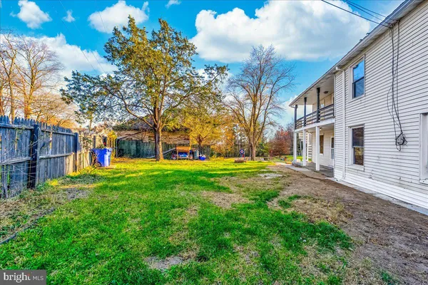 a view of a yard with plants