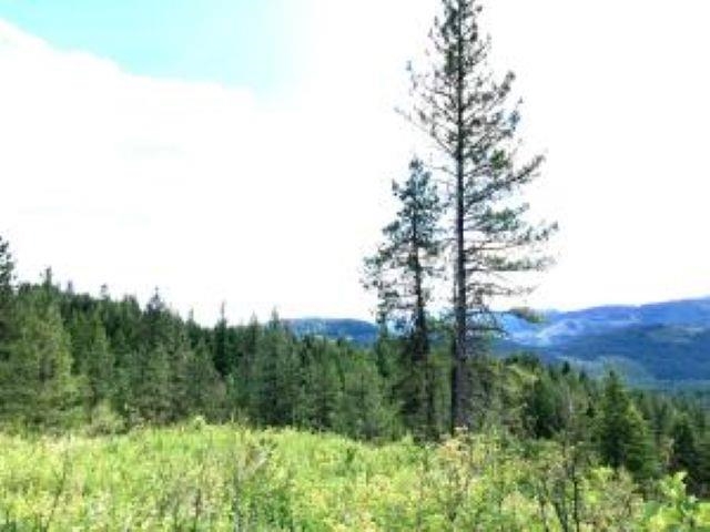 T T Buffy Lane Inchelium, WA 99138 - Photo 10 of 13