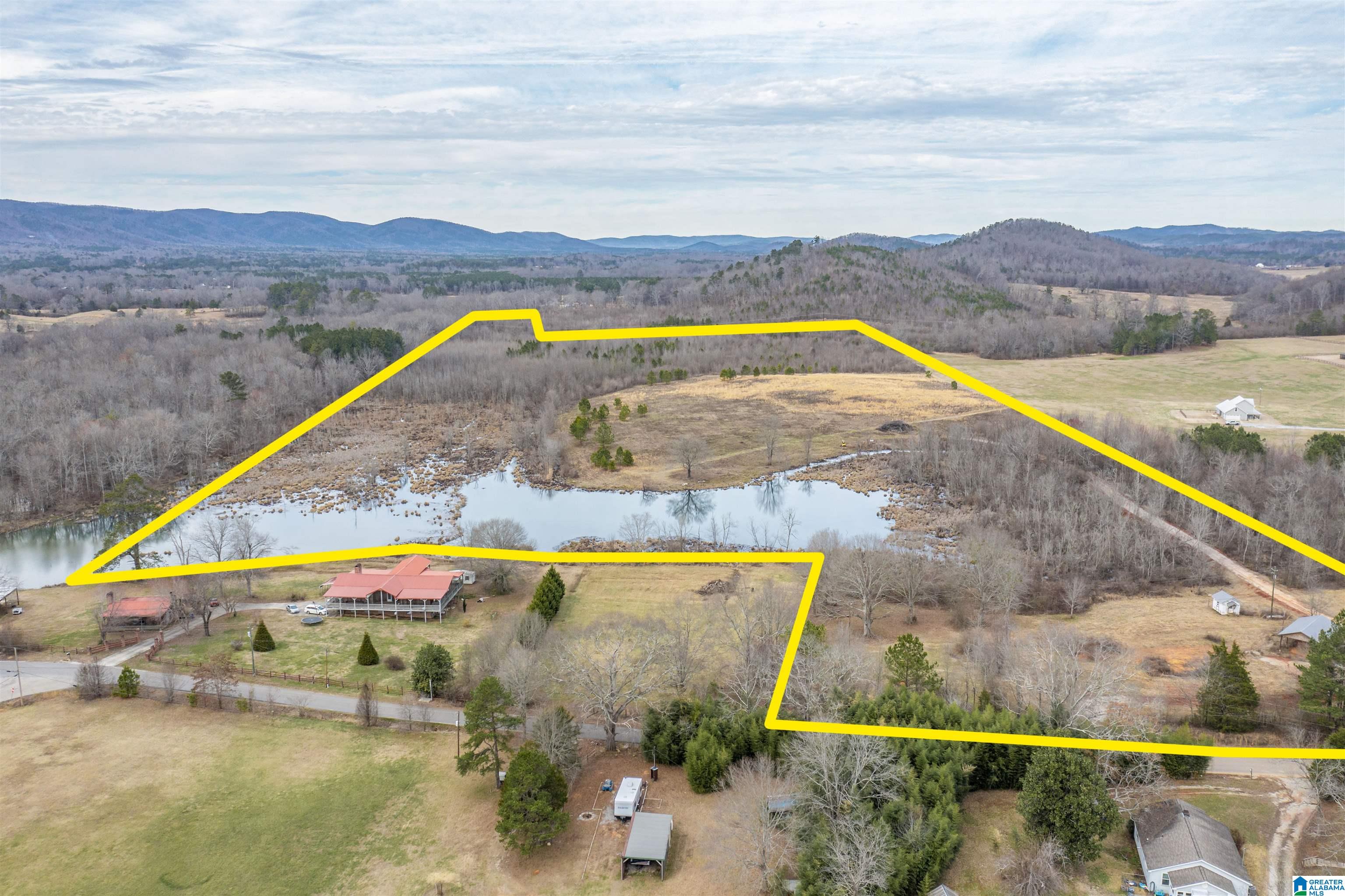 1619 Old Downing Ml Road, Unit 40 03 ACRES Anniston, AL 36207 - Photo 10 of 29