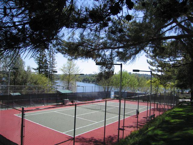 24126 Green Valley Road Auburn, CA 95602 - Photo 48 of 65 a view of a swimming pool with a patio
