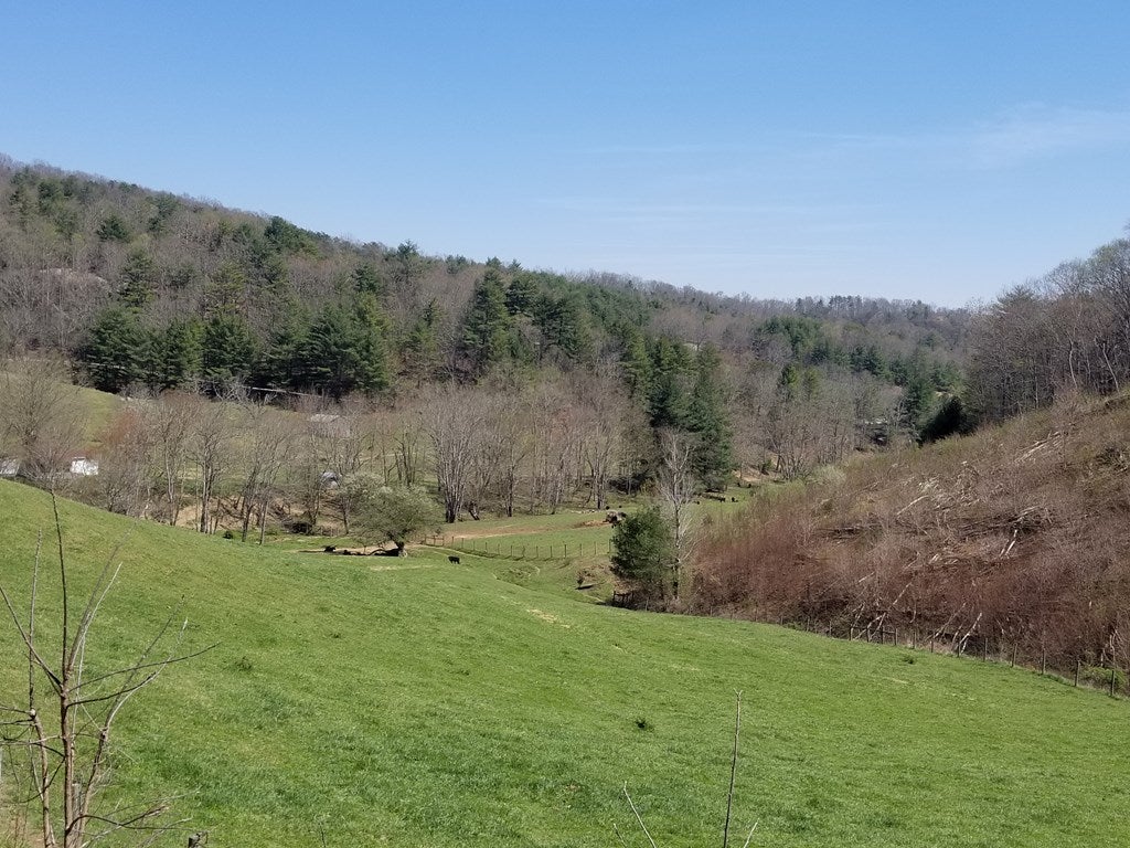 Tbd Peach Bottom Road, Unit 53A58B1 Independence, VA 24348 - Photo 8 of 14 Gallery Image 8