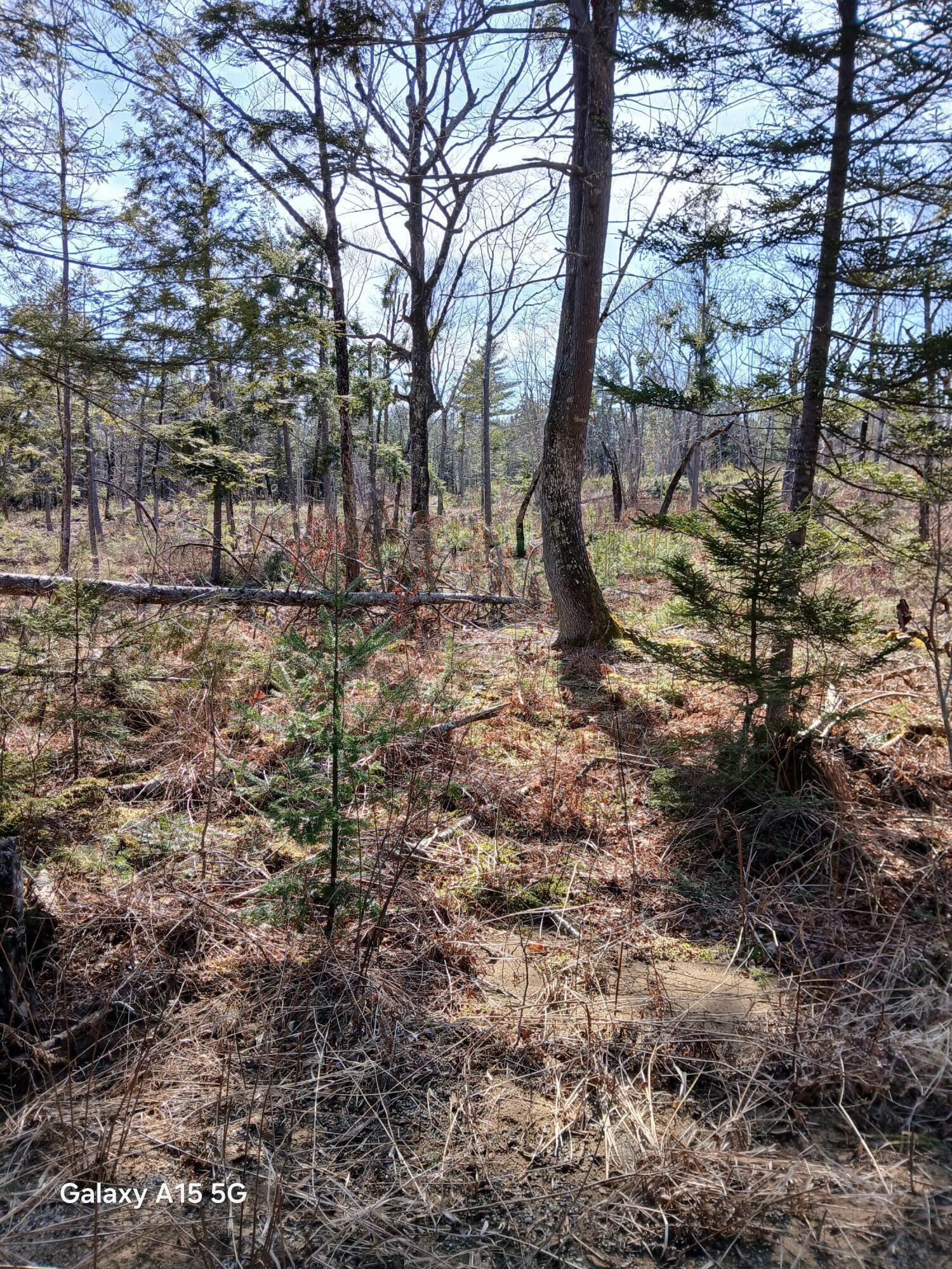 Map10-l39b Christian Hill Road Bristol, ME 04539 - Photo 2 of 5 20250401_152420