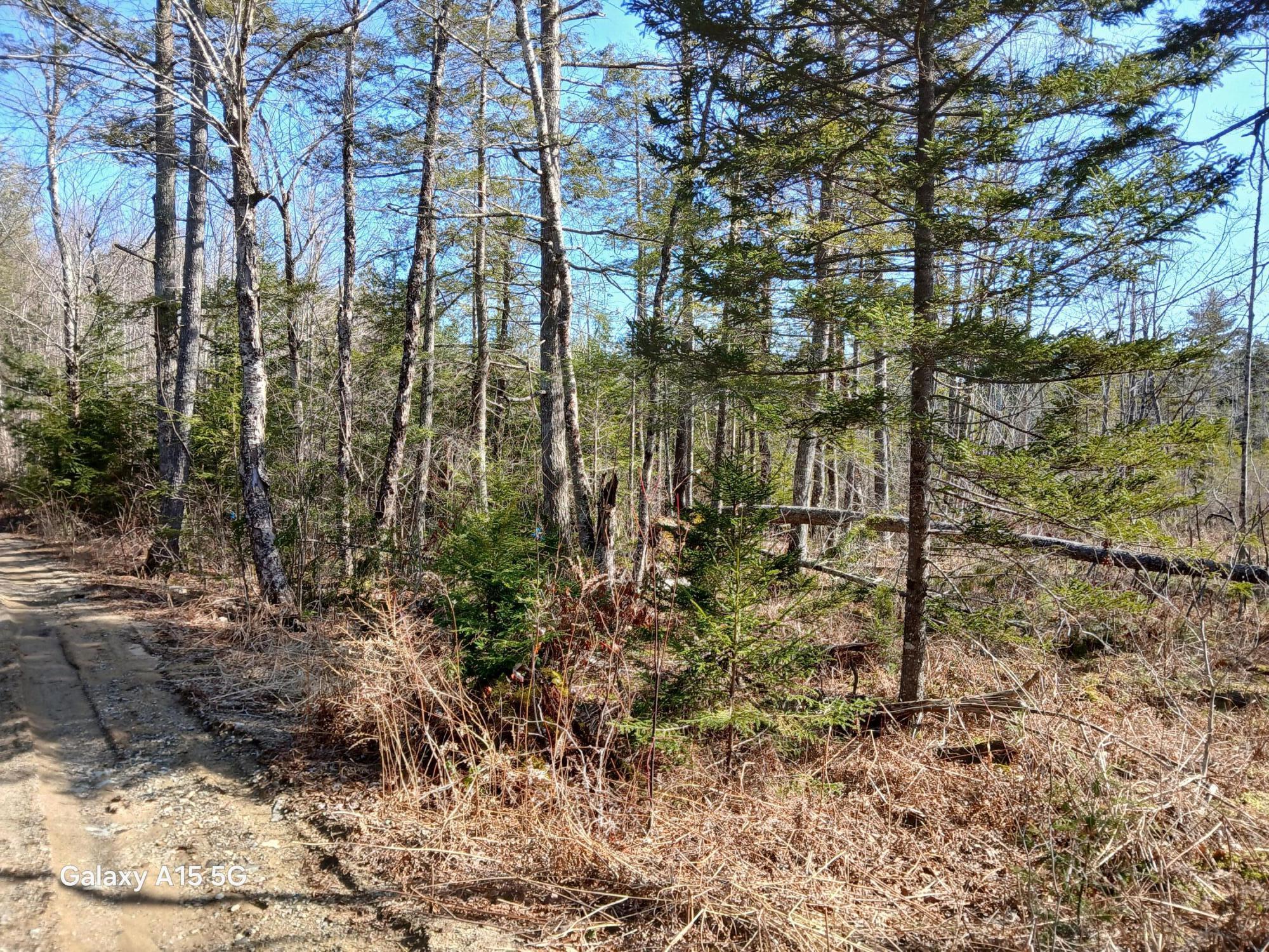 Map10-l39b Christian Hill Road Bristol, ME 04539 - Photo 3 of 5 20250401_152445