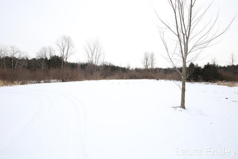 501 Brown Road Southwest Stanton, MI 48888 - Photo 35 of 35 IMG_1736