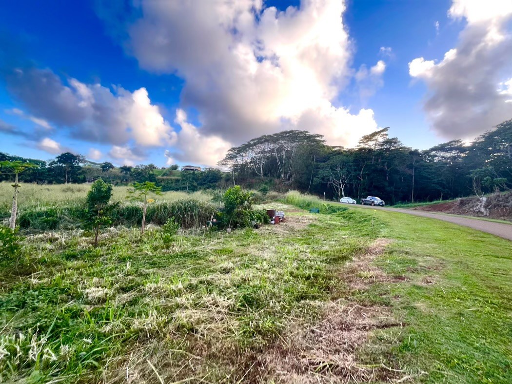 Uilama Place, Unit 4X Kapaa, HI 96746 - Photo 3 of 7