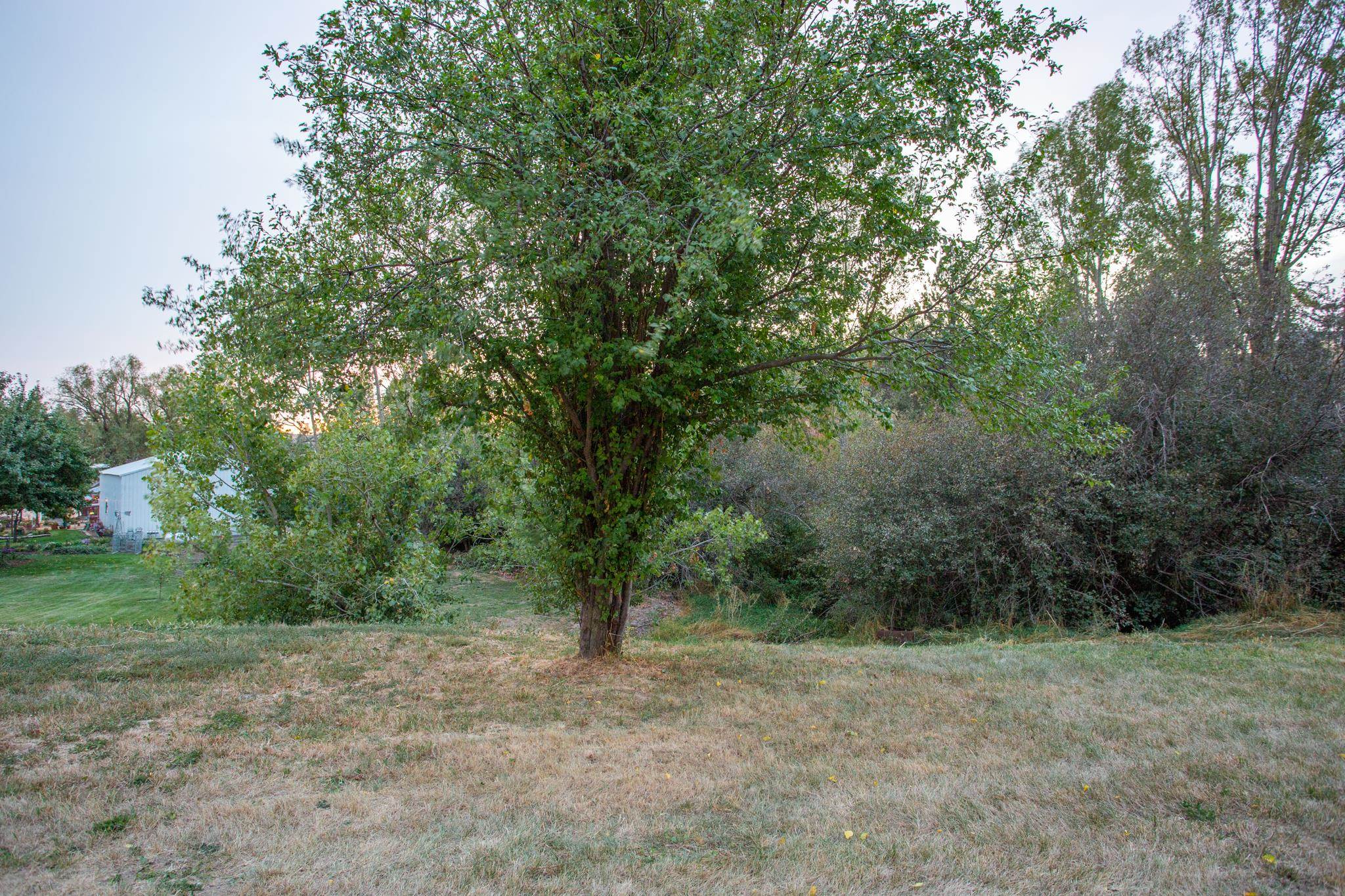 165 Northeast Stringham Road Rockford, WA 99030 - Photo 10 of 22