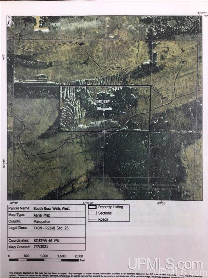 Tbd Off Of Co Rd 557, Unit 1 Arnold, MI 49819 - Photo 15 of 16