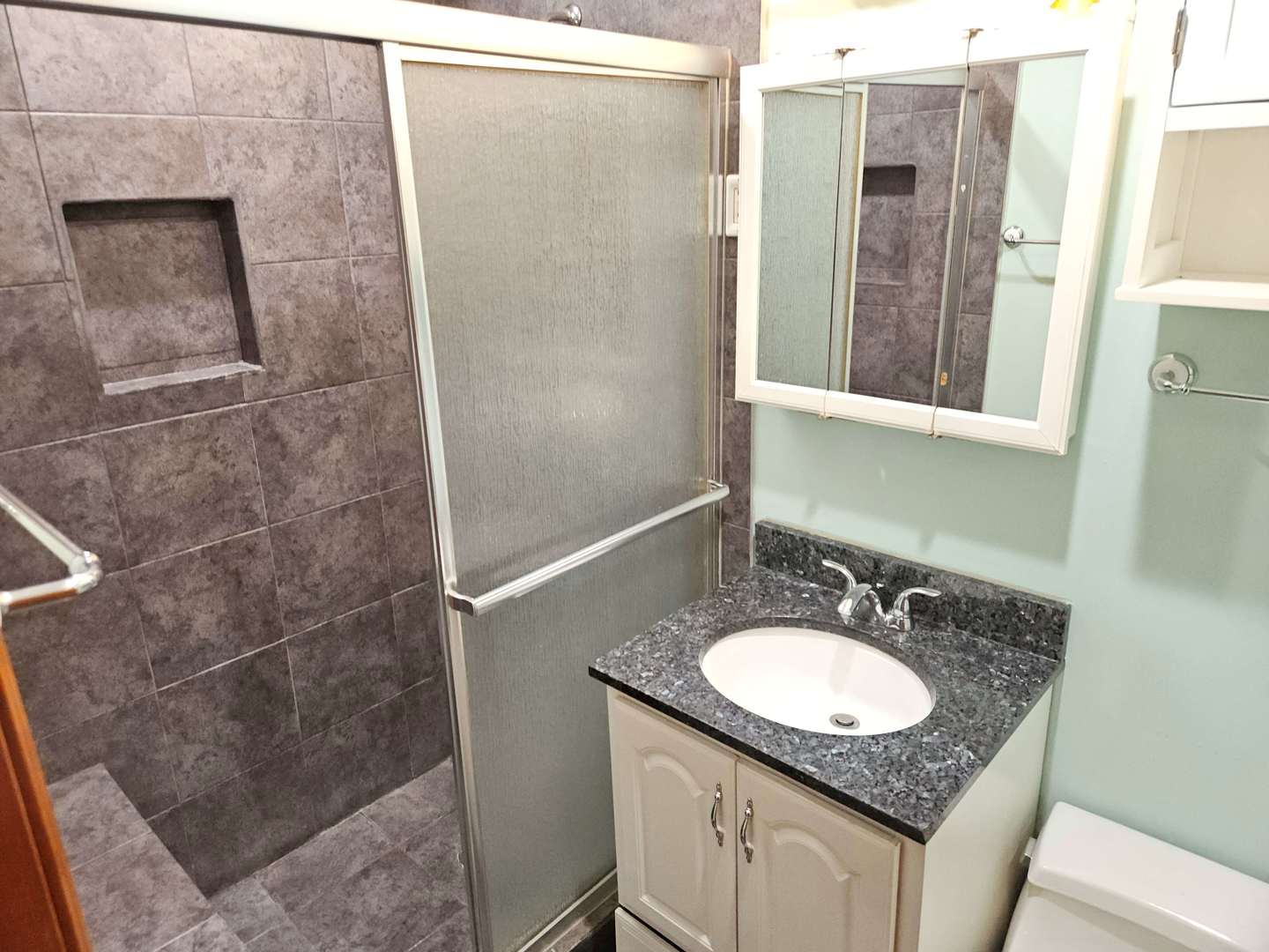 75 Bode Road Hoffman Estates, IL 60169 - Photo 6 of 19 a bathroom with a granite countertop sink a mirror and a shower