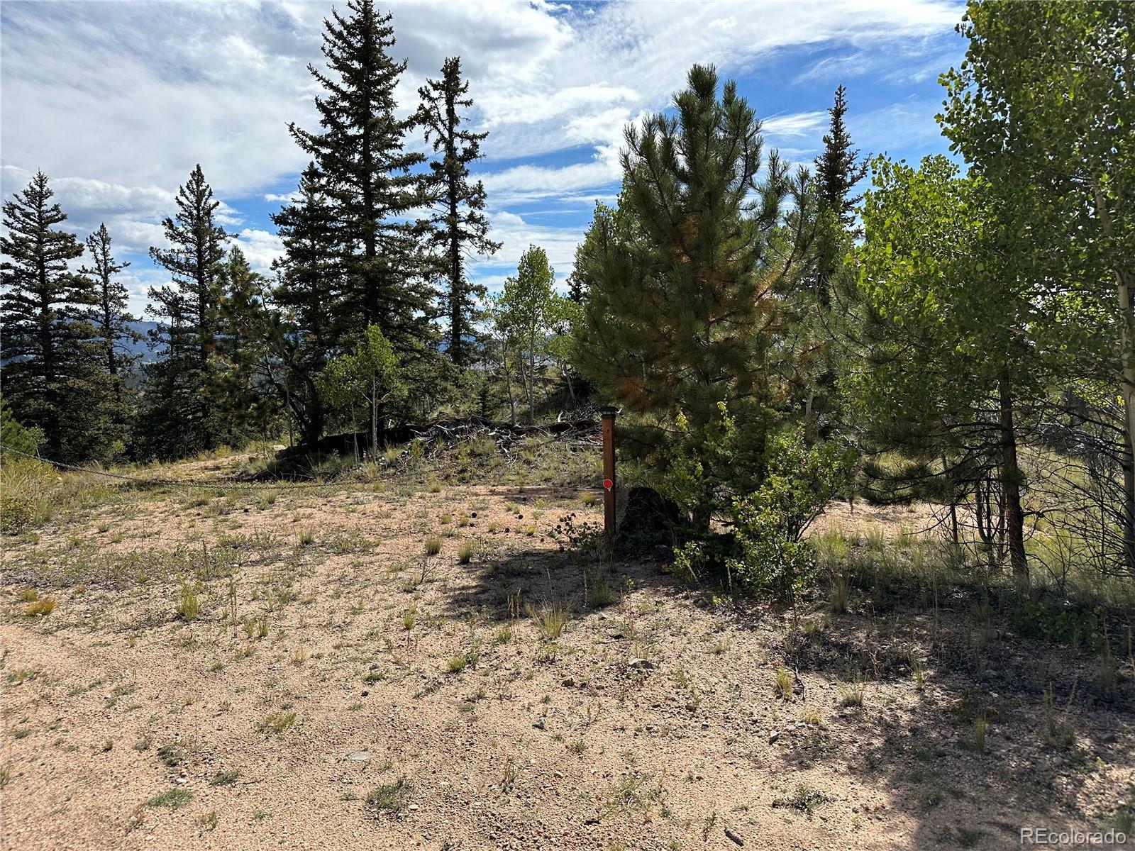 712 Red Cloud Drive Como, CO 80456 - Photo 11 of 15