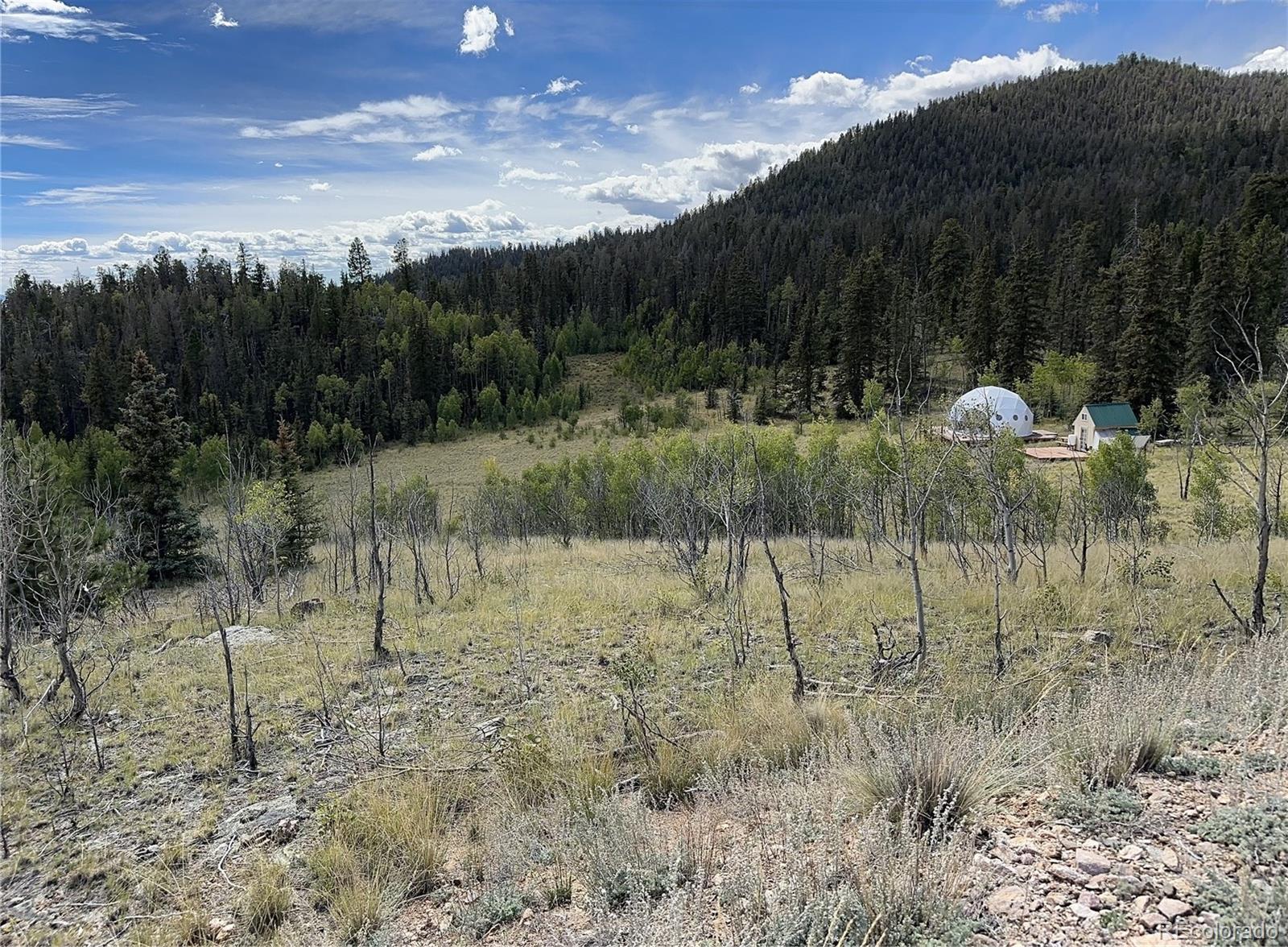 712 Red Cloud Drive Como, CO 80456 - Photo 12 of 15