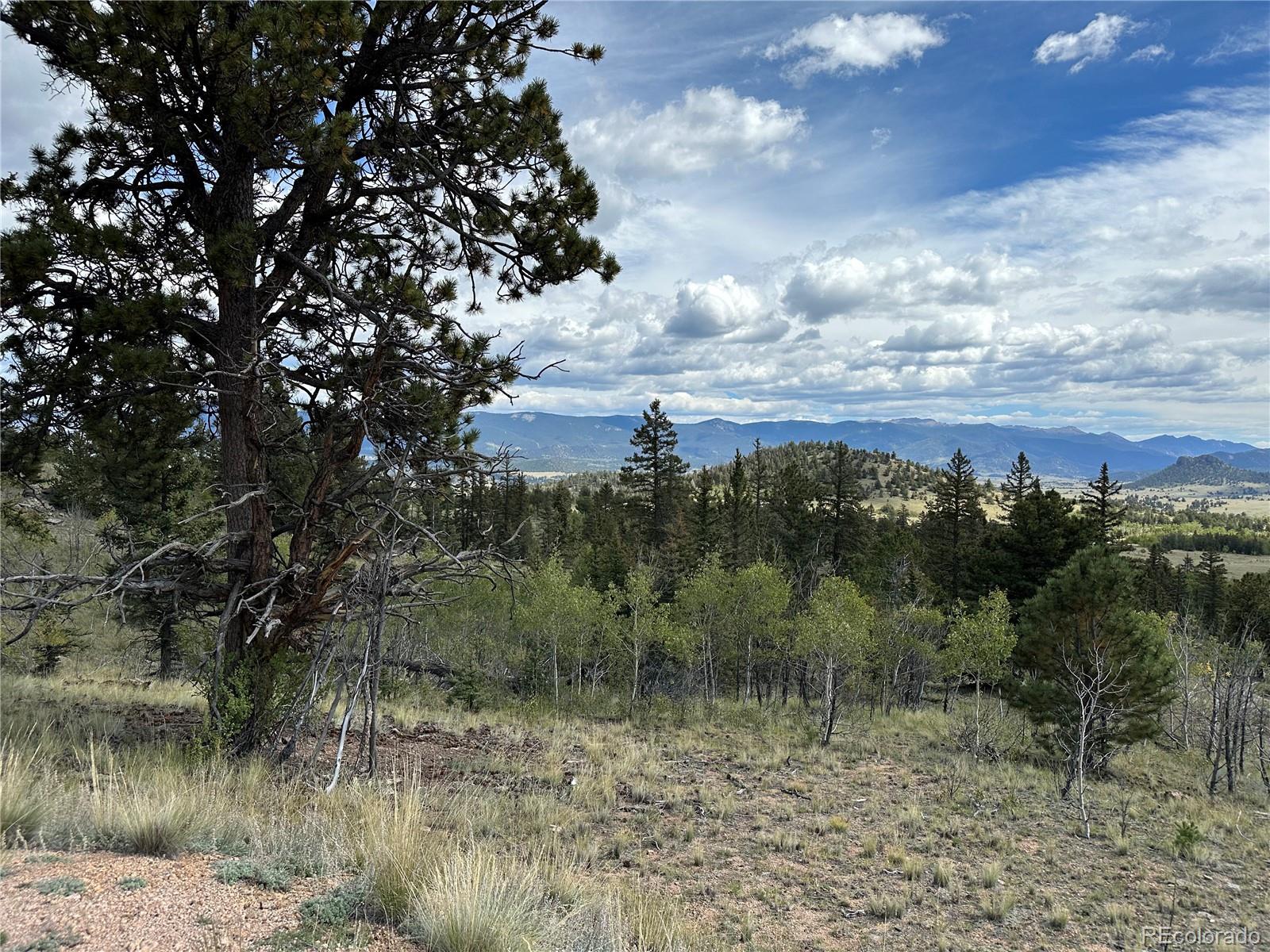 712 Red Cloud Drive Como, CO 80456 - Photo 14 of 15