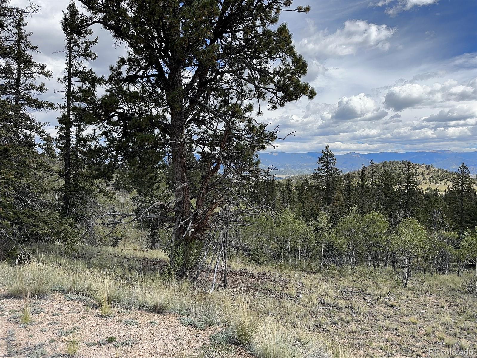 712 Red Cloud Drive Como, CO 80456 - Photo 3 of 15