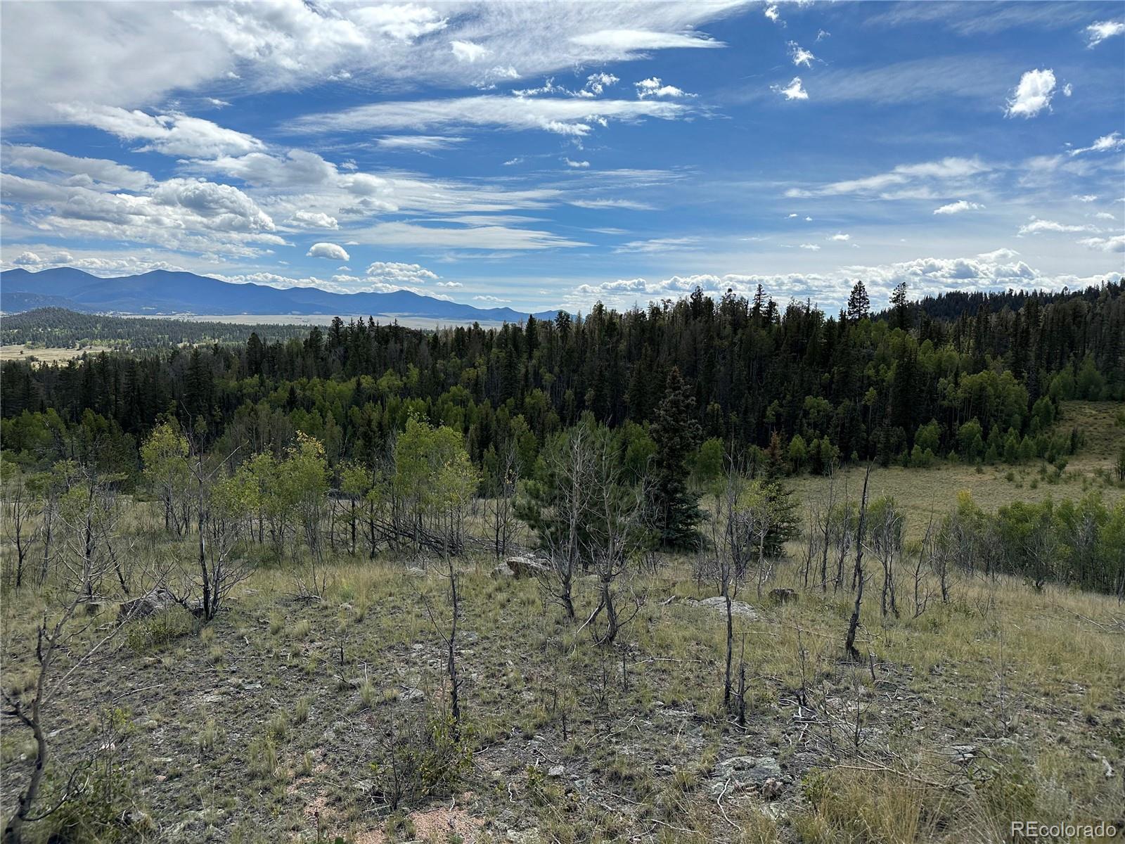 712 Red Cloud Drive Como, CO 80456 - Photo 5 of 15